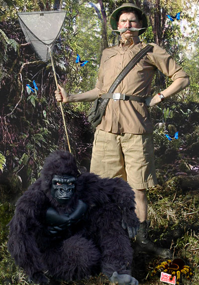 Gorilla-Gorilla-photo1web.jpg