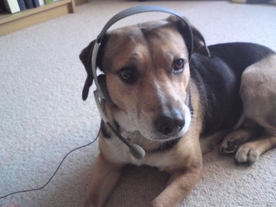 You're on the line with Clover, how can I be of assistance? / 19749_235938586318_512256318_3695485_3995159_n.jpg 19749_235938586318_512256318_3695485_3995159_n.jpg