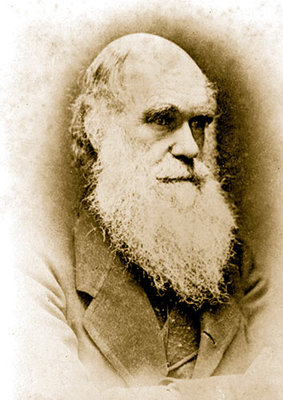 charles-darwin-evolution.jpg