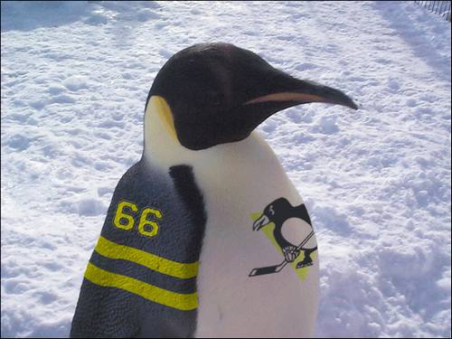 image0077.jpg