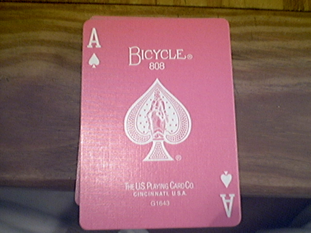 Pink Bicycle 7.jpg