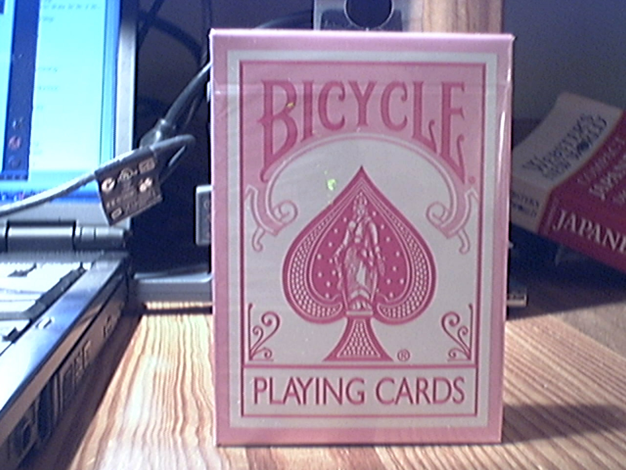 Pink Bicycle 1.jpg