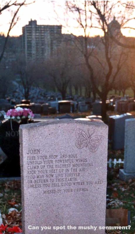 Mushy1.jpg Mushy1.jpg