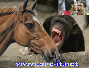 ruud and martin.jpg