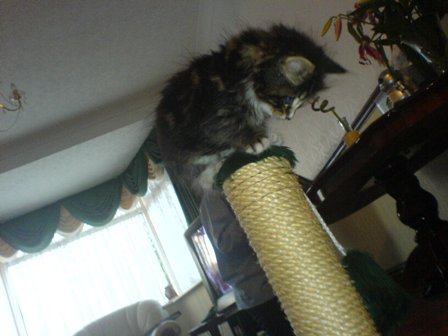 DSC00457.JPG DSC00457.JPG