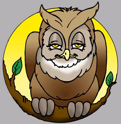 Night Owl.JPG