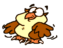 owl 1.gif
