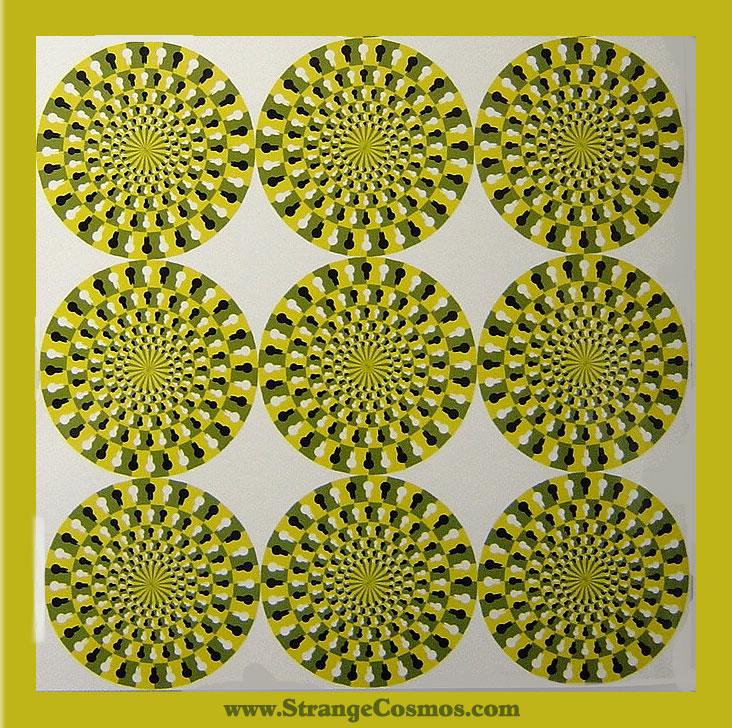 Doesitmove.jpg Doesitmove.jpg